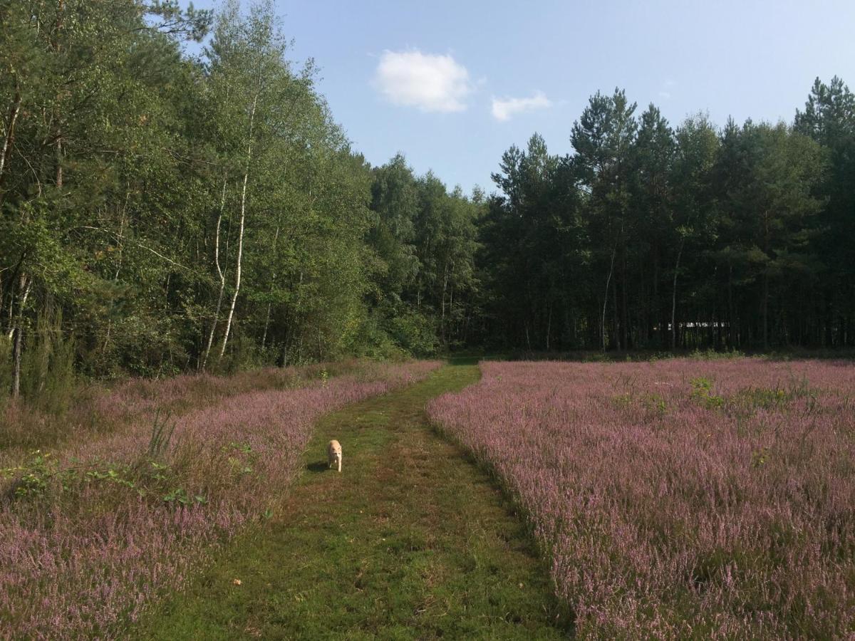 Roulottes Du Chalet Des Pins Rougeou Eksteriør bilde